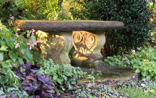 Rare Roots -Rare Roots Bench in shade garden perennials
